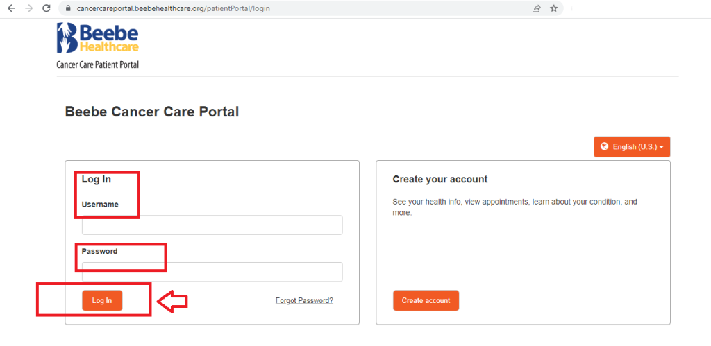 Beebe Patient Portal 