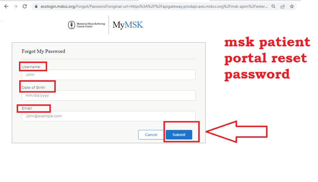 MSK Patient Portal Log In