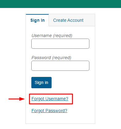 SVMC Patient Portal