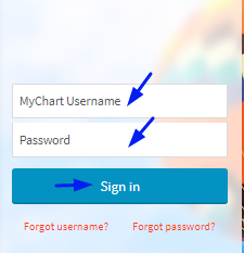 Healtheast Patient Portal