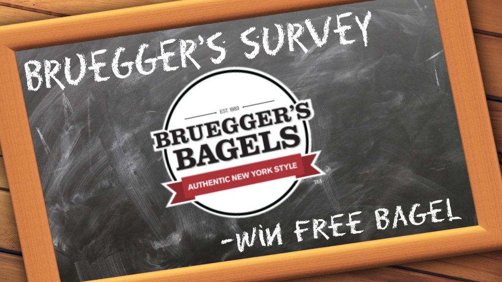 Bruegger's Survey