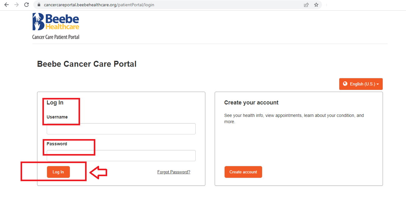 Beebe Patient Portal Log In Www beebehealthcare Login Portal