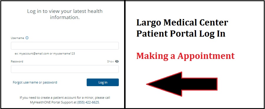 Largo Medical Center Patient Portal