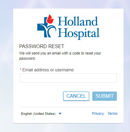 Holland Hospital Patient Portal