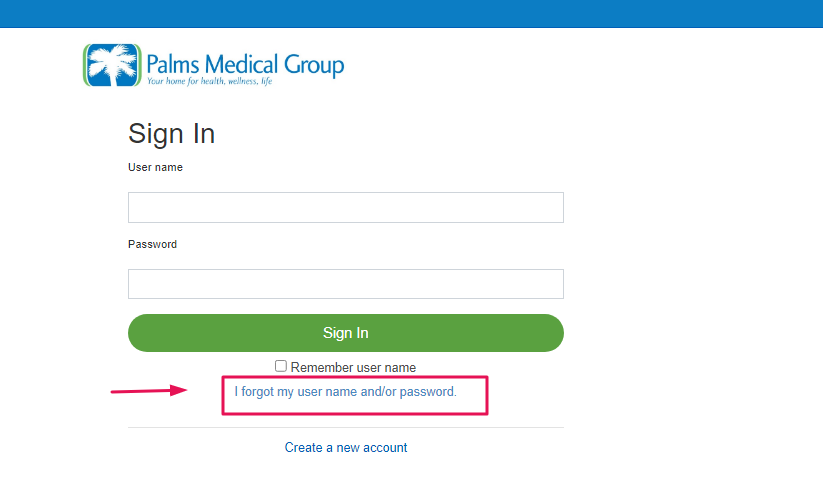 Palm Medical Group Patient Portal