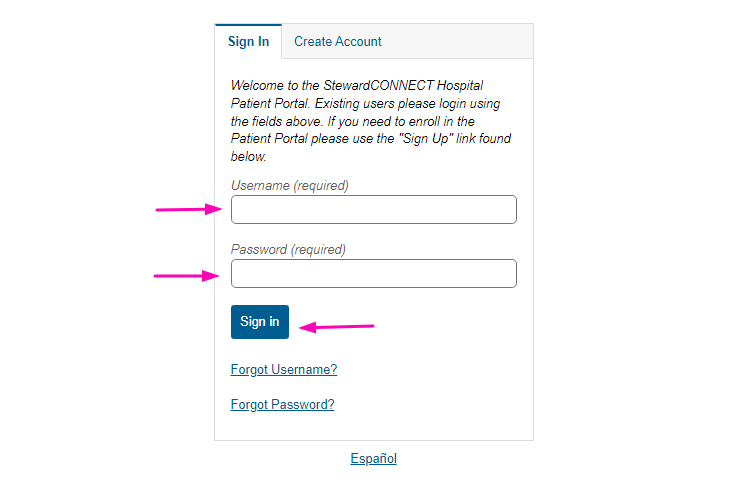 Saint Anne's Hospital Patient Portal