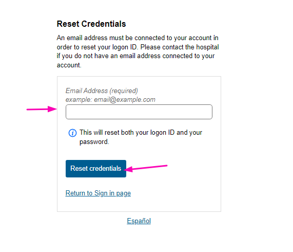 Saint Anne's Hospital Patient Portal